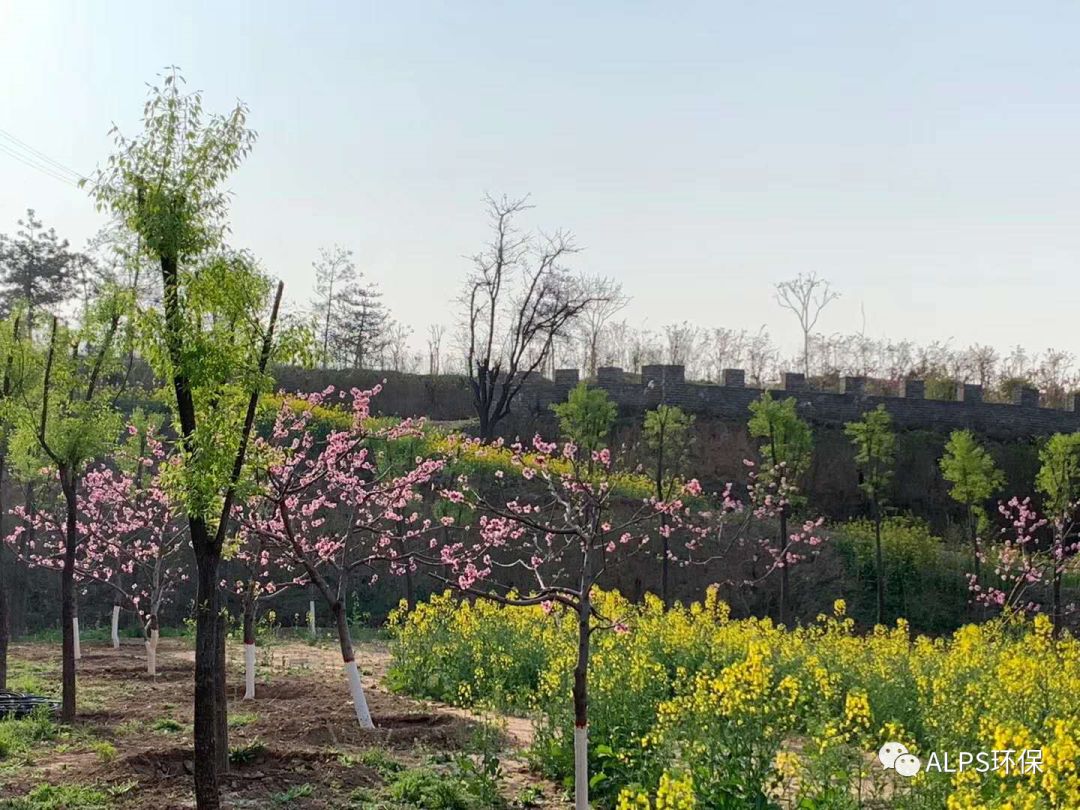 春暖花开、万物复苏，美丽的花园式处理厂迎来了一心干事业的白水县主管领导